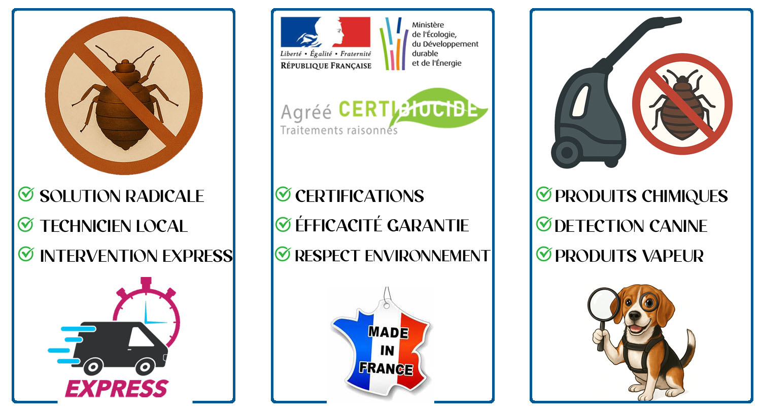 Punaises de Lit Sceaux